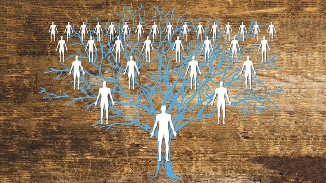 La successione legittima: parentela.